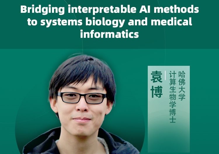 Cibay-i High Bay Light