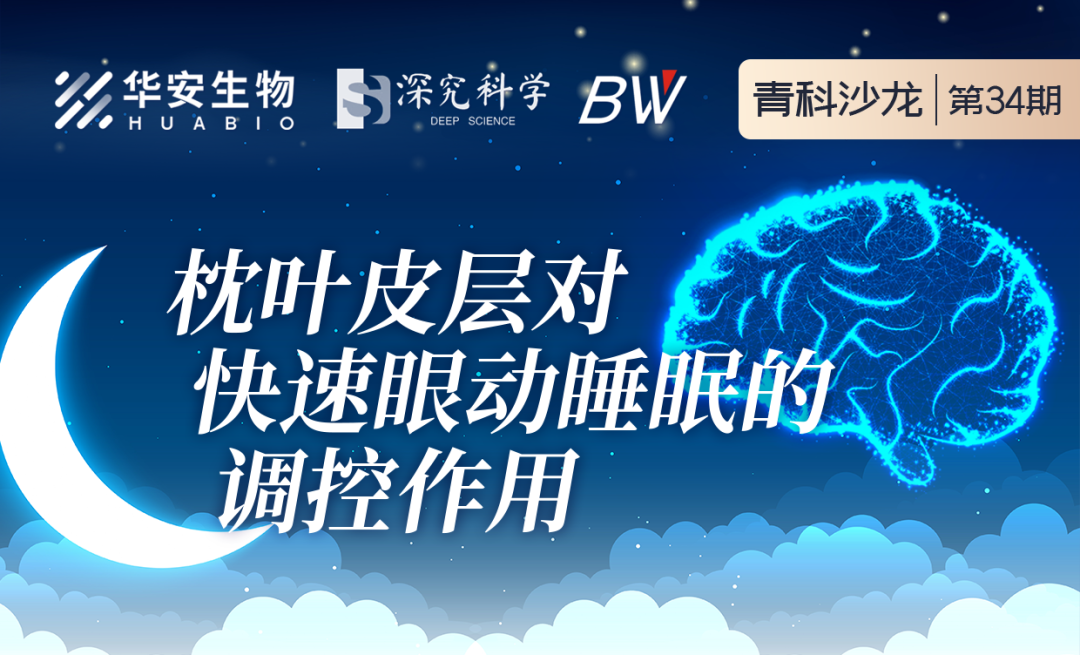 Cibay-i High Bay Light