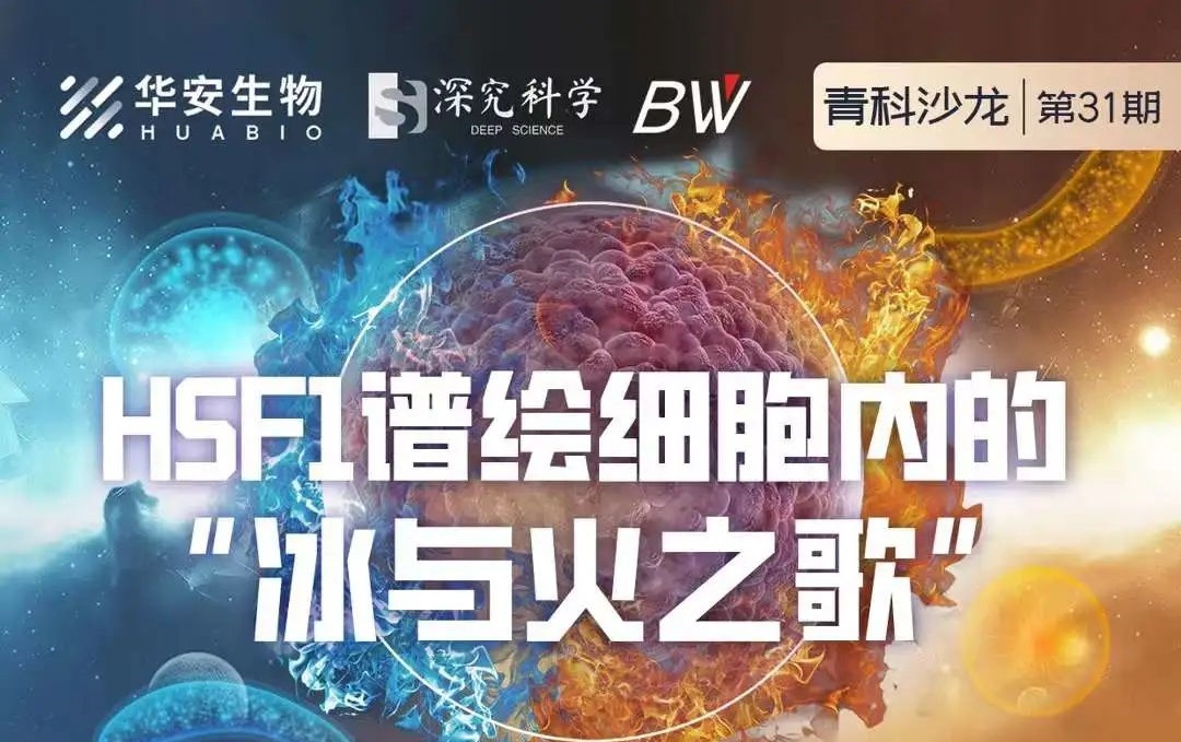 Cibay-i High Bay Light