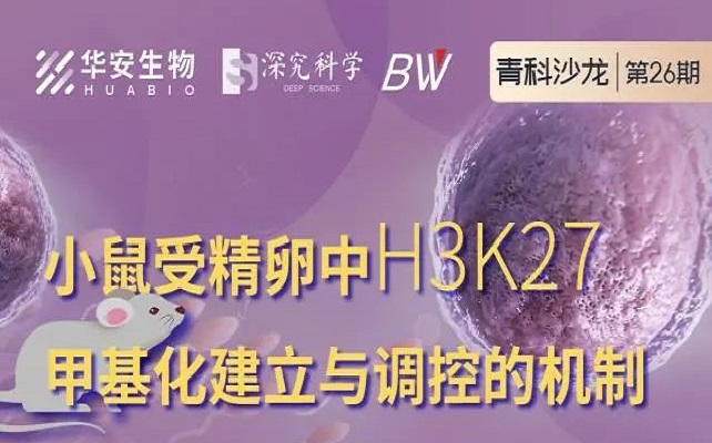 Cibay-i High Bay Light