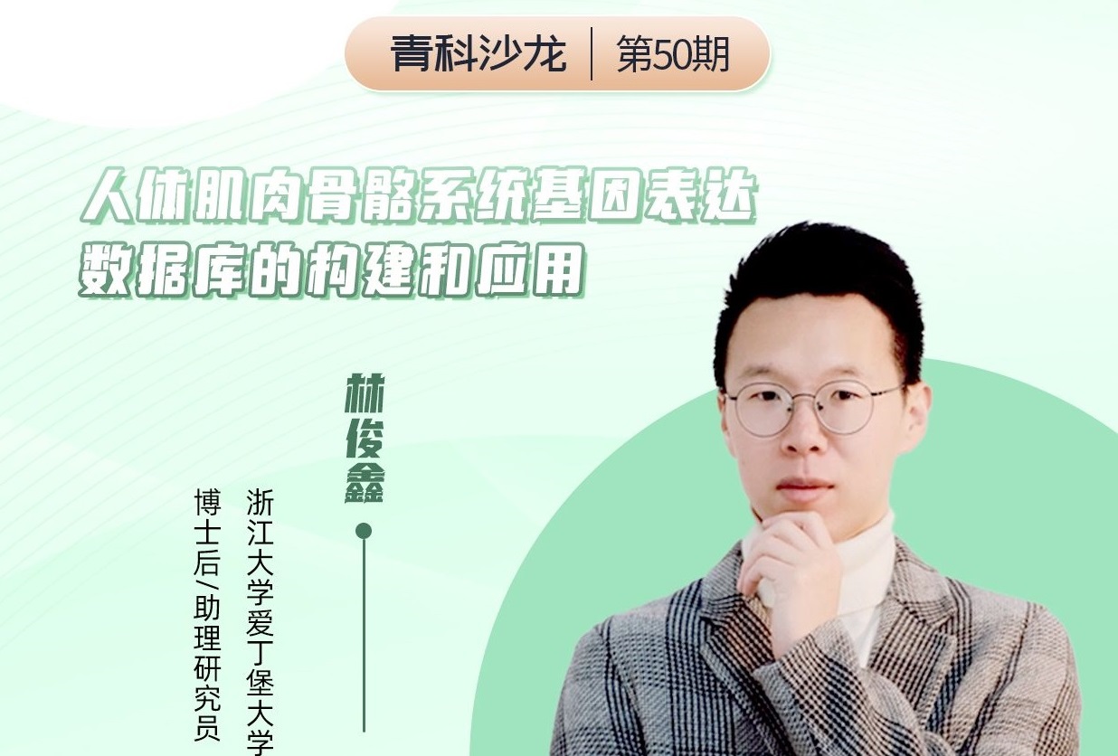 Cibay-i High Bay Light