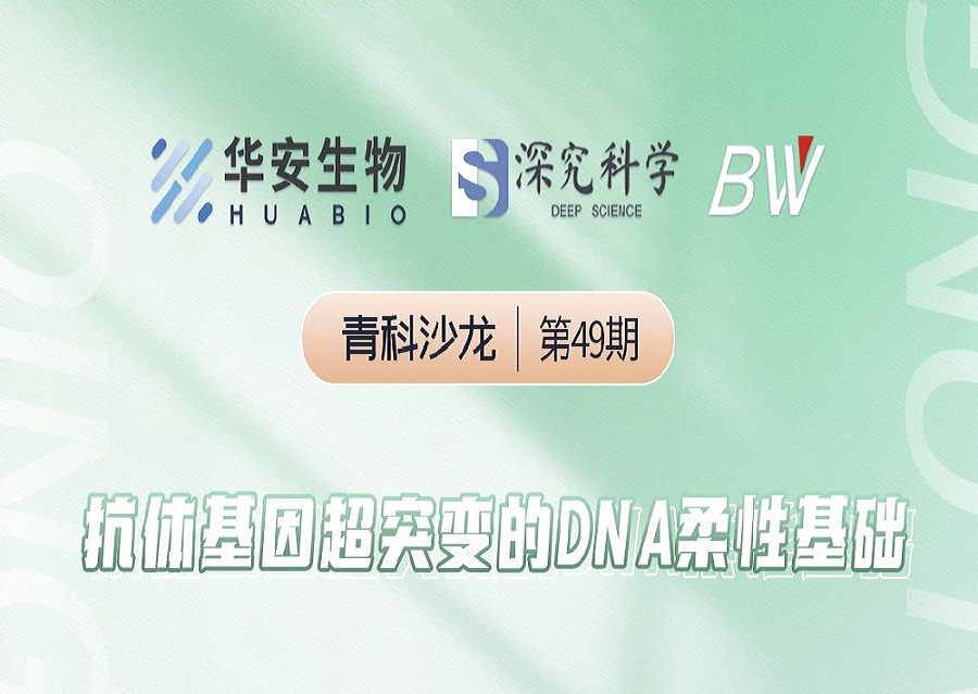 Cibay-i High Bay Light