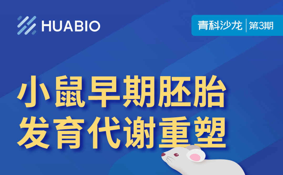 Cibay-i High Bay Light