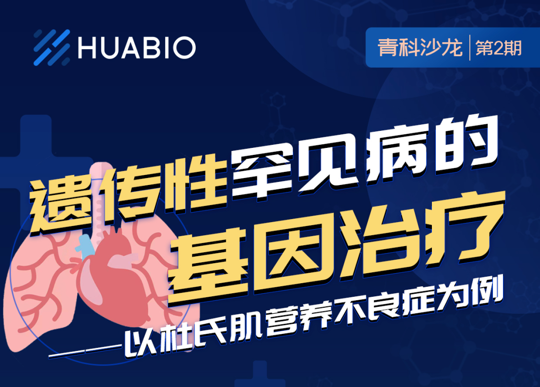 Cibay-i High Bay Light