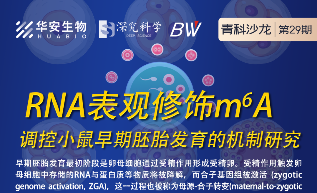 Cibay-i High Bay Light