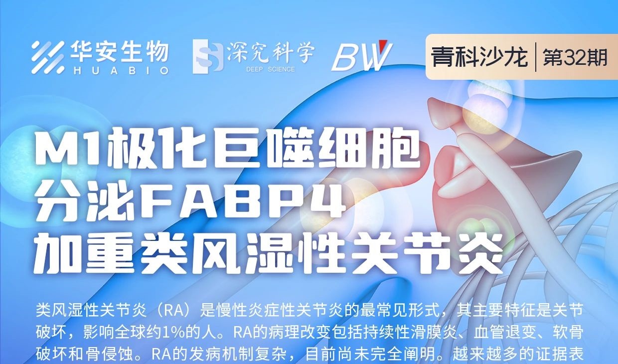 Cibay-i High Bay Light