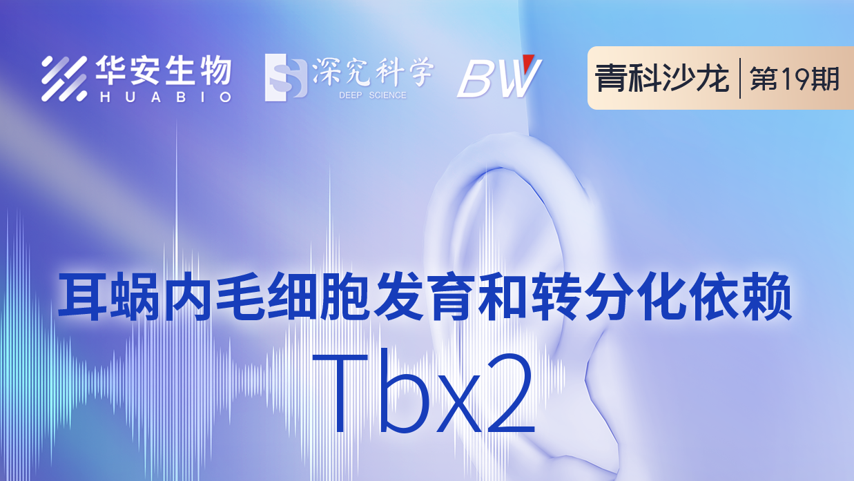 Cibay-i High Bay Light