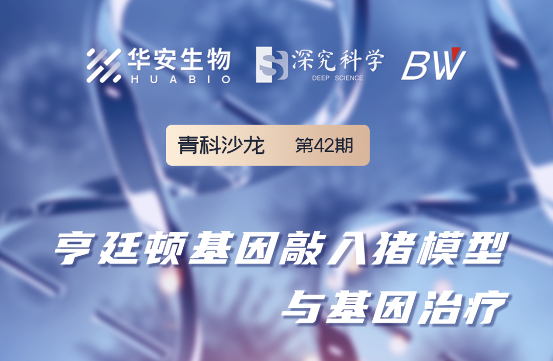 Cibay-i High Bay Light