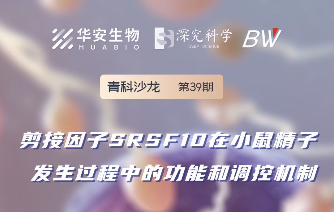 Cibay-i High Bay Light