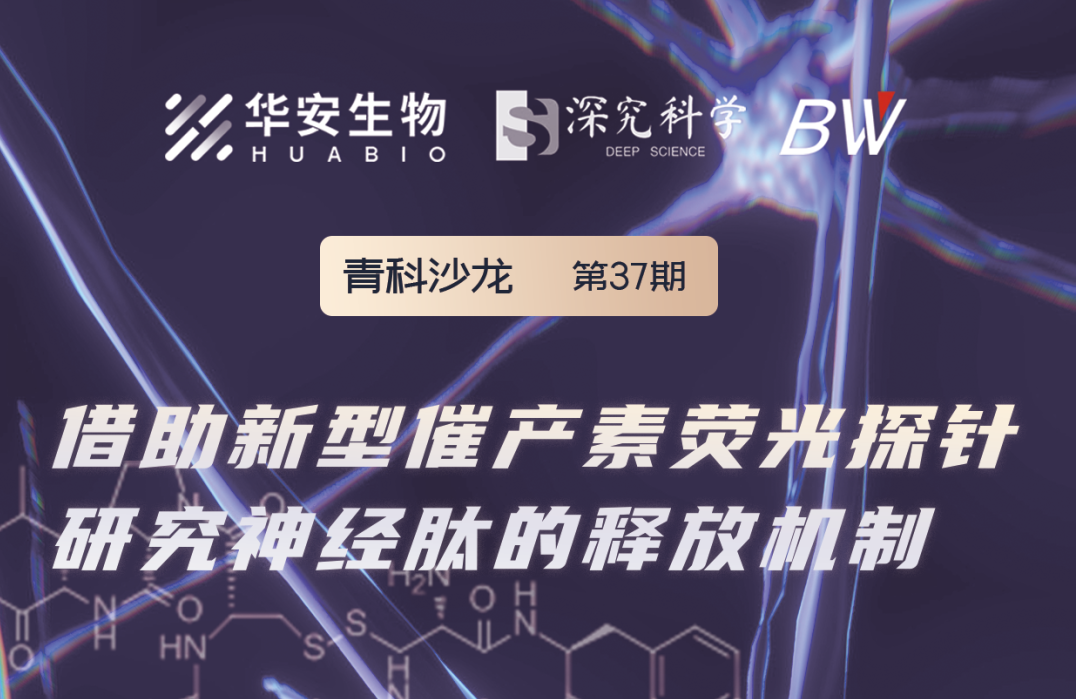 Cibay-i High Bay Light