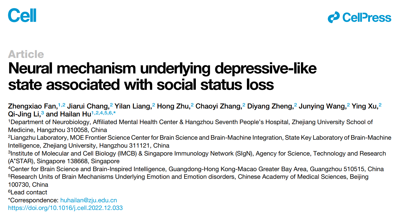 Cibay-i High Bay Light