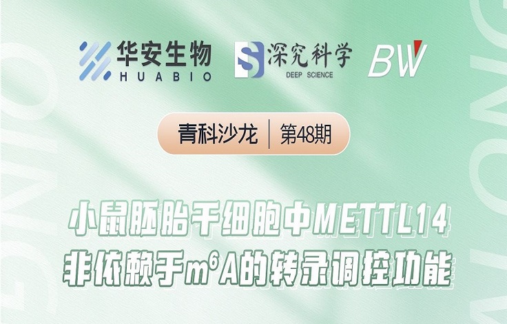 Cibay-i High Bay Light