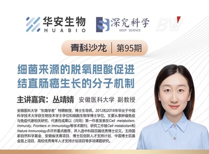 Cibay-i High Bay Light