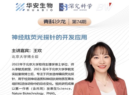 Cibay-i High Bay Light