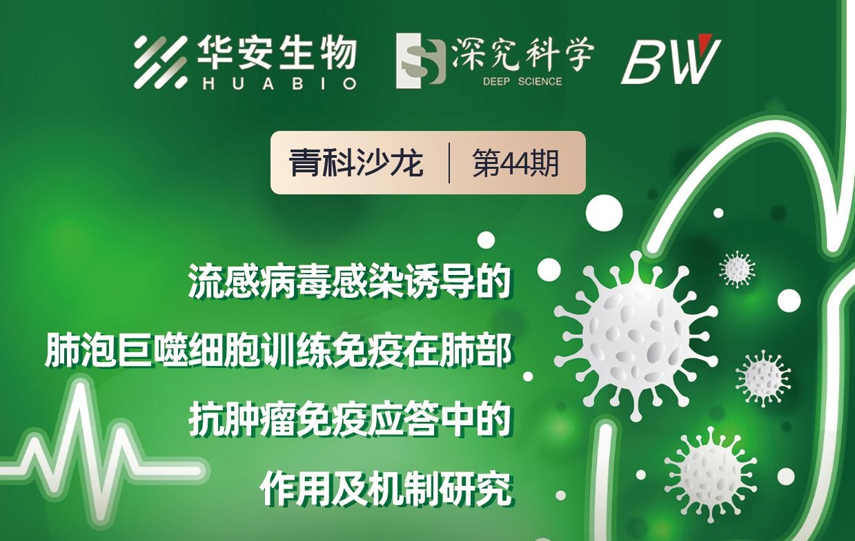 Cibay-i High Bay Light