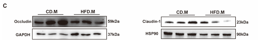 往年补图-38069055-HA1006.png