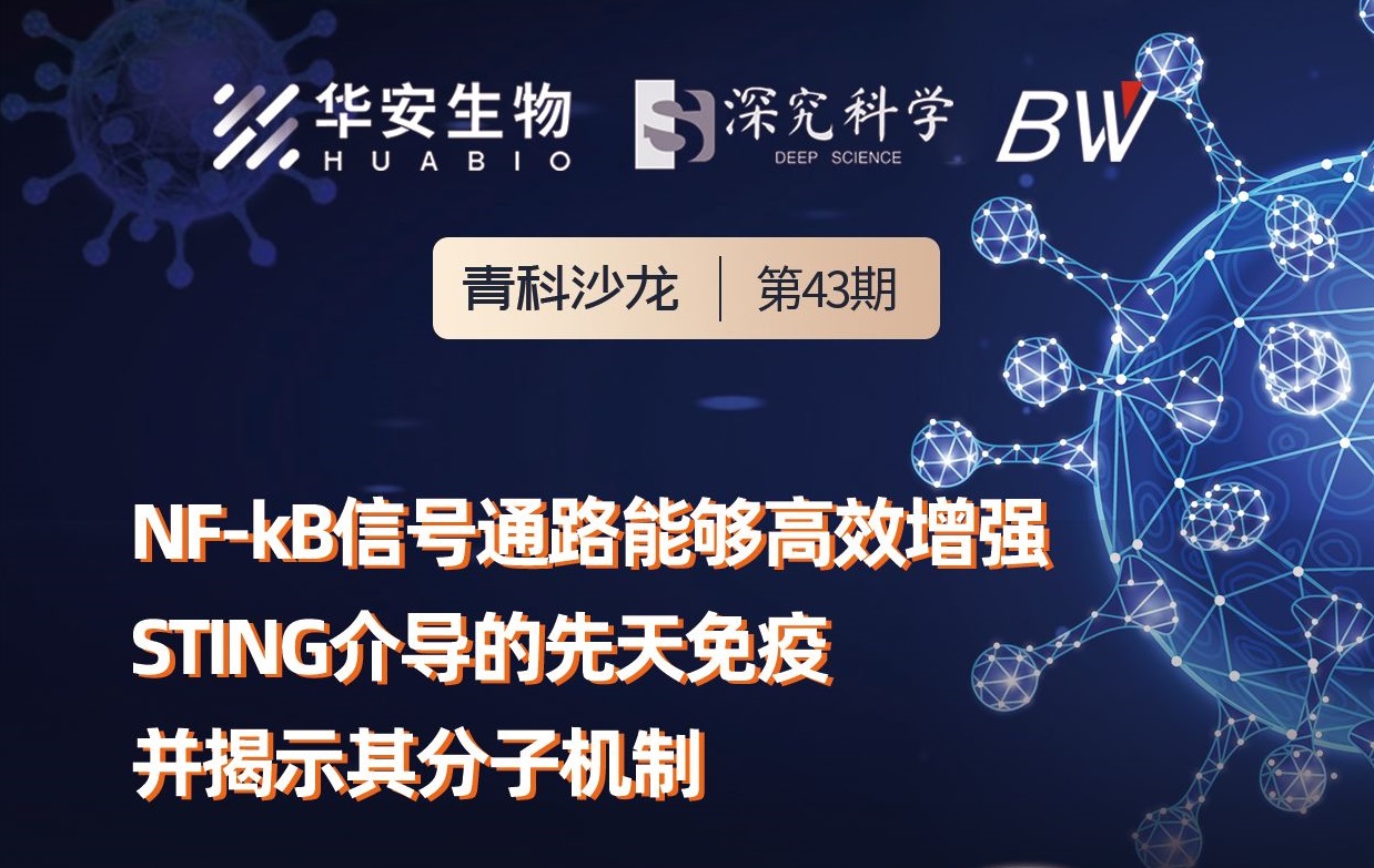 Cibay-i High Bay Light