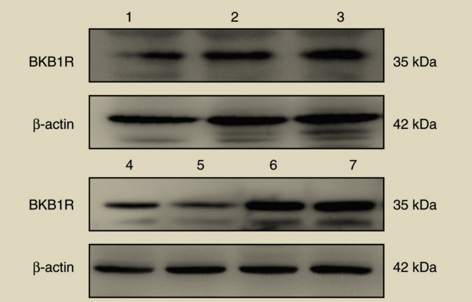 往年补图-34539836-1.png