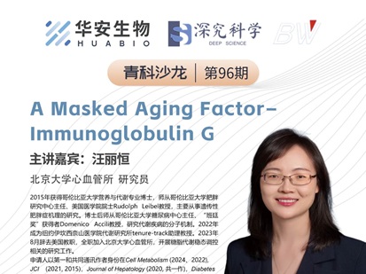 Cibay-i High Bay Light