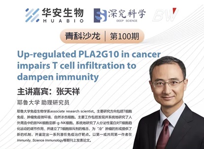 Cibay-i High Bay Light