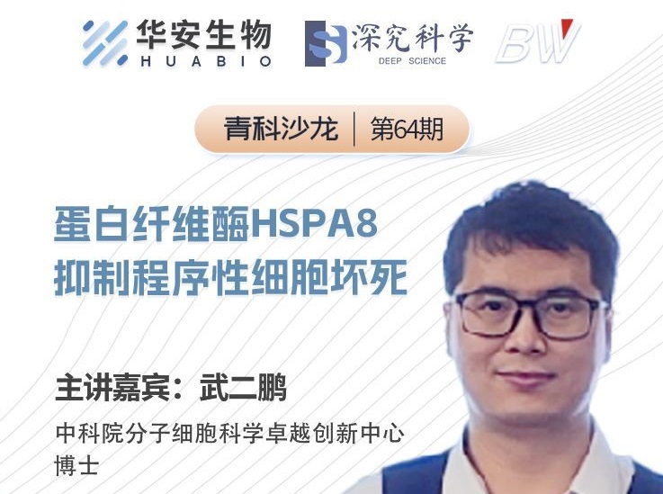 Cibay-i High Bay Light