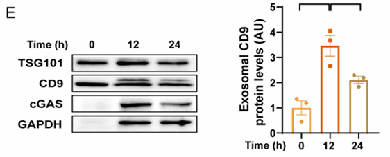Zhou Liyan,et al-2.png