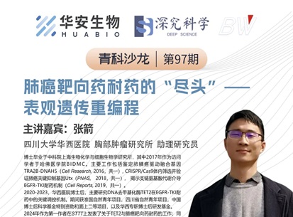 Cibay-i High Bay Light