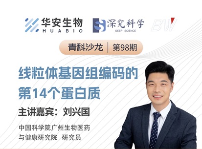 Cibay-i High Bay Light