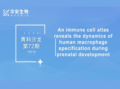 Cibay-i High Bay Light