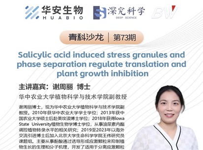 Cibay-i High Bay Light