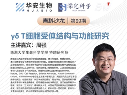 Cibay-i High Bay Light