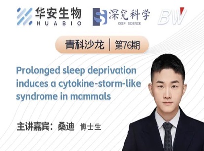 Cibay-i High Bay Light