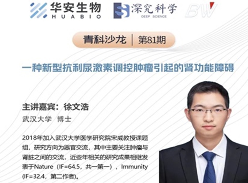 Cibay-i High Bay Light