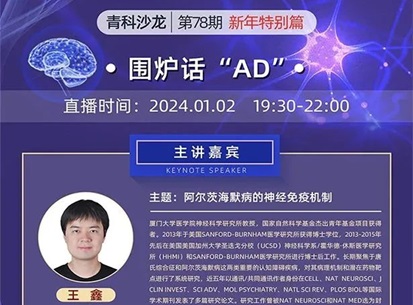 Cibay-i High Bay Light