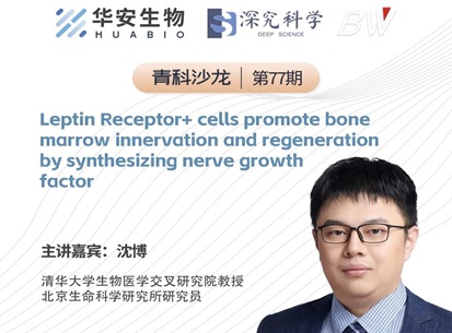 Cibay-i High Bay Light