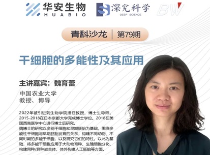 Cibay-i High Bay Light