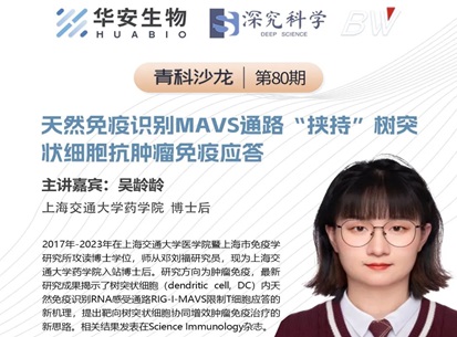 Cibay-i High Bay Light