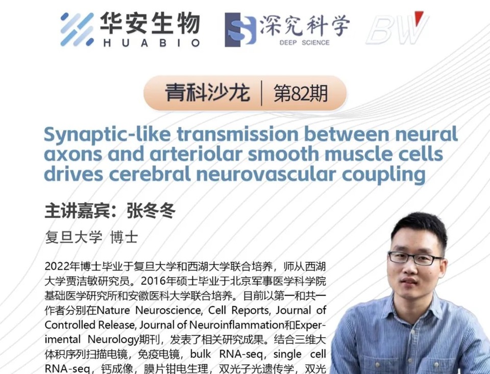 Cibay-i High Bay Light