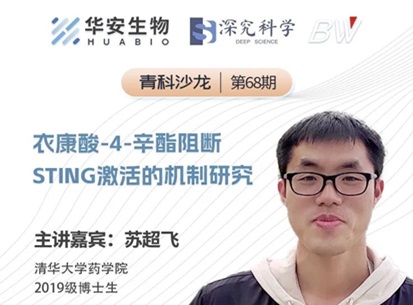 Cibay-i High Bay Light