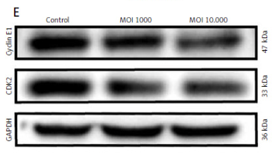 2025年3月-27NOPMID25050701-ET1601-4.png