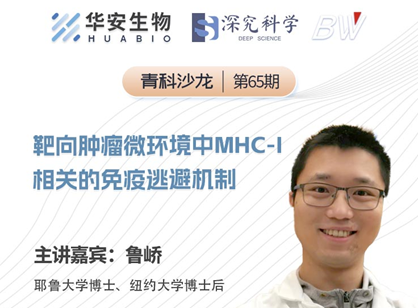 Cibay-i High Bay Light