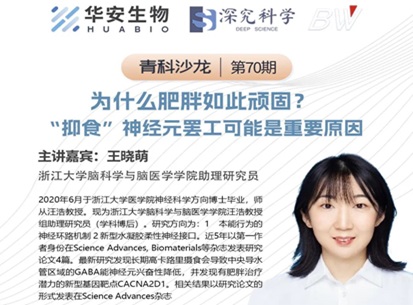 Cibay-i High Bay Light