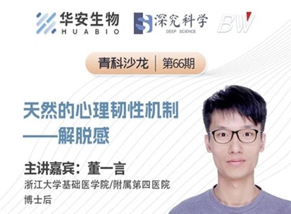 Cibay-i High Bay Light