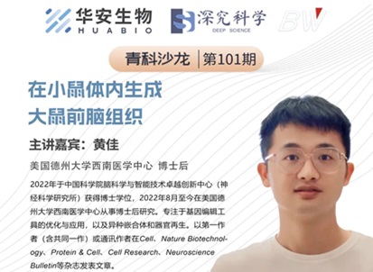 Cibay-i High Bay Light