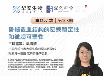 Cibay-i High Bay Light