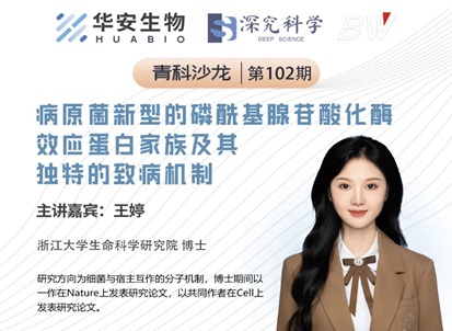 Cibay-i High Bay Light