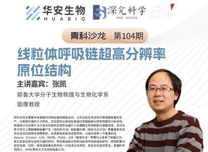 Cibay-i High Bay Light