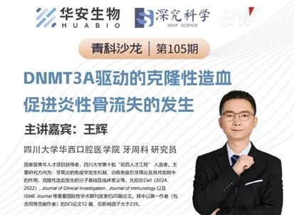 Cibay-i High Bay Light