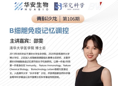 Cibay-i High Bay Light