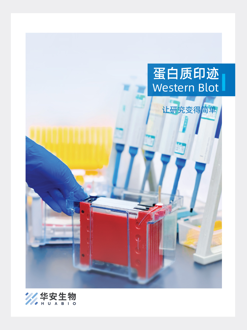 蛋白质印迹手册